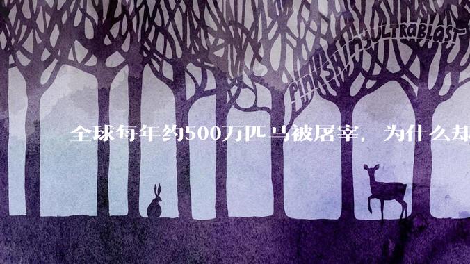 全球每年约500万匹马被屠宰，为什么却见不到中国人吃马肉？